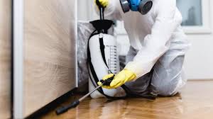 Best Emergency Pest Control  in Oyster Bay Cove, NY