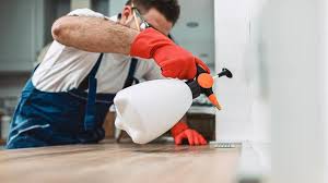 Best Commercial Pest Control  in Oyster Bay Cove, NY